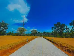 408 බස් පාරෙන් නේවාසික බිම් කොටස්