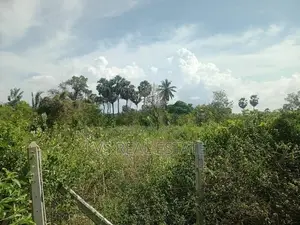 கேகேஎஸ் ரயில்வே ஸ்டேஷன் அருகில் ஆறு பரப்பு காணி விற்பனைக்கு உண்டு