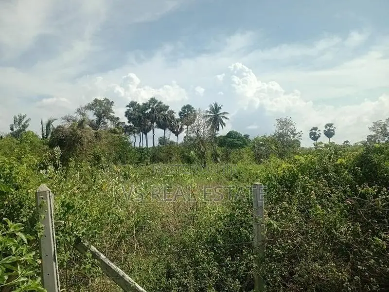 கேகேஎஸ் ரயில்வே ஸ்டேஷன் அருகில் ஆறு பரப்பு காணி விற்பனைக்கு உண்டு