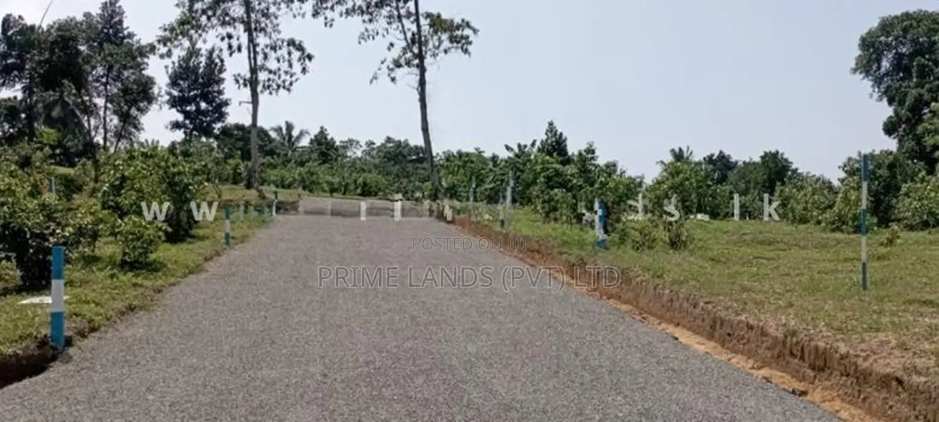 අළුත්ගමින් වටිනා බිම්කොටස්