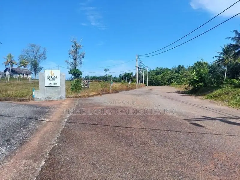 වැලිපැන්නෙන් ඉඩමක්