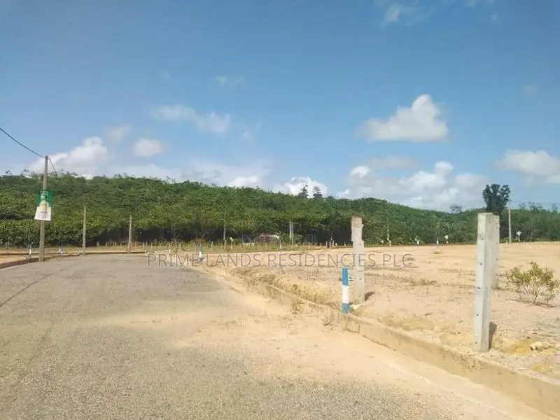 වැලිපැන්නෙන් ඉඩමක්