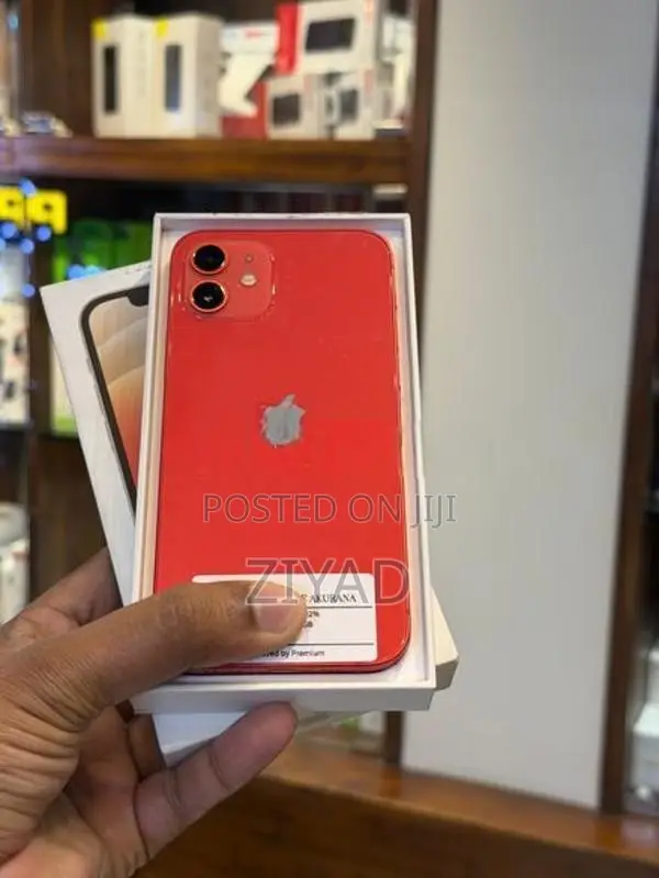 Apple iPhone 12 128GB (Used)