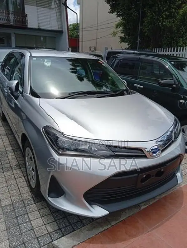 Toyota Corolla Fielder 2023