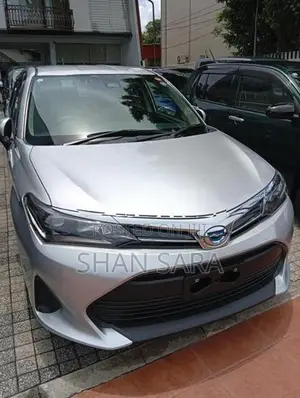 Toyota Corolla Fielder 2023
