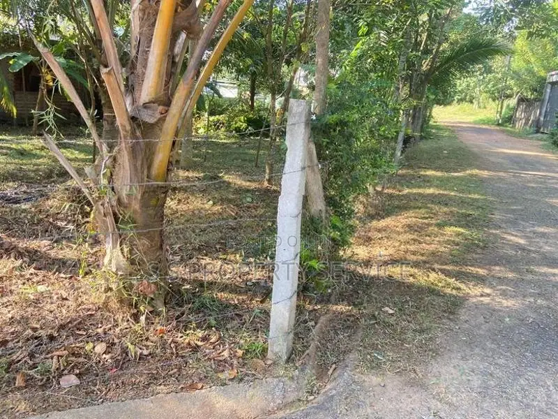 Magammana, Homagama Land for Sale (SSPL-336)