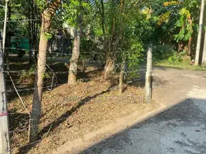 Magammana, Homagama Land for Sale (SSPL-336)