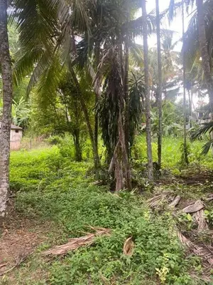 27Perch Land For Sale Hakmana