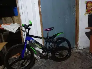 Kenton Mountain Bicycle