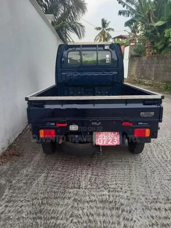 Suzuki Carry Buddy 2023