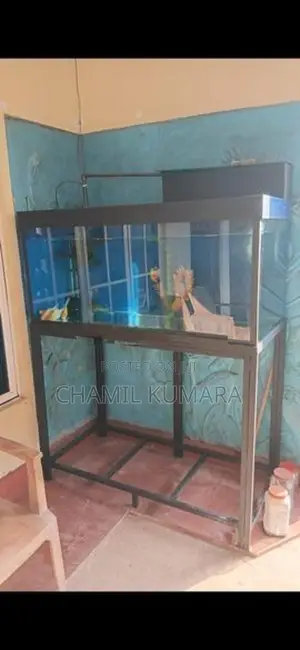 Fish tank