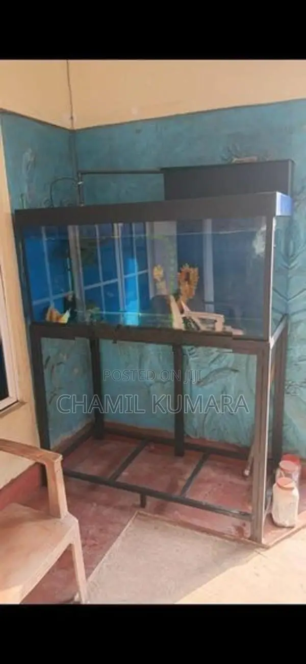 Fish tank