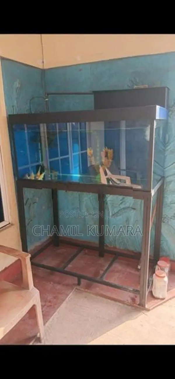 Fish tank