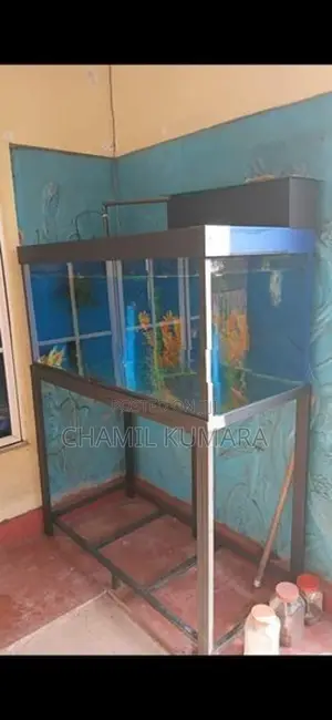 Fish tank