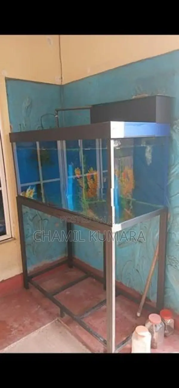 Fish tank