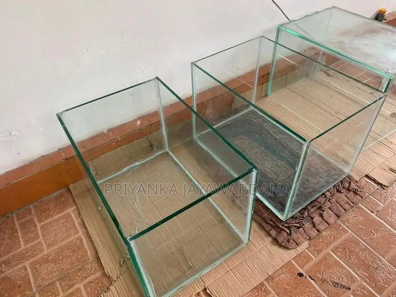 Fish Tanks
