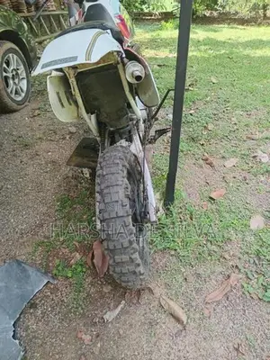 Honda CRF 2019