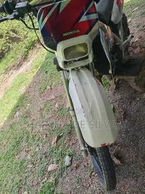 Honda CRF 2019