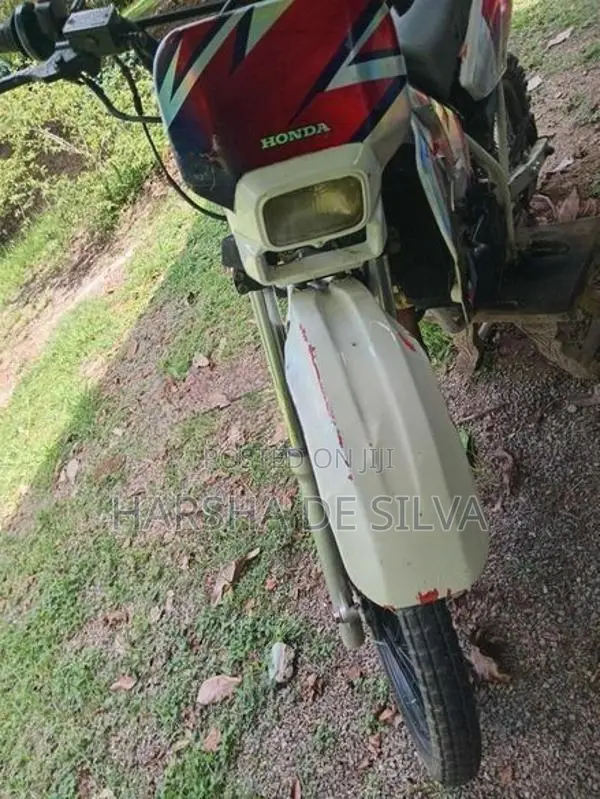 Honda CRF 2019