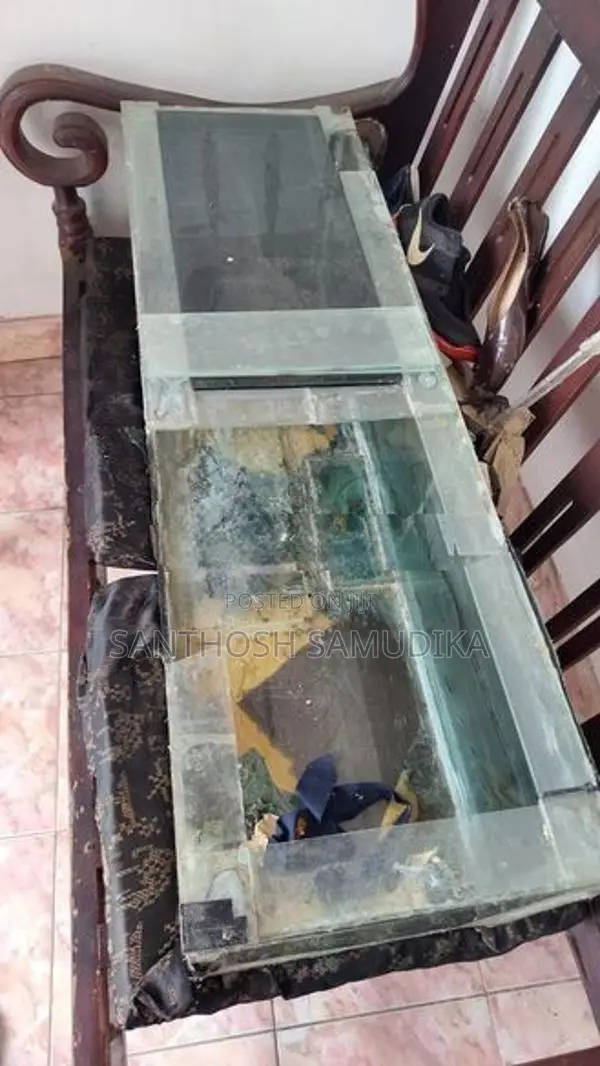 2 Fish Tanks