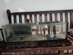 2 Fish Tanks
