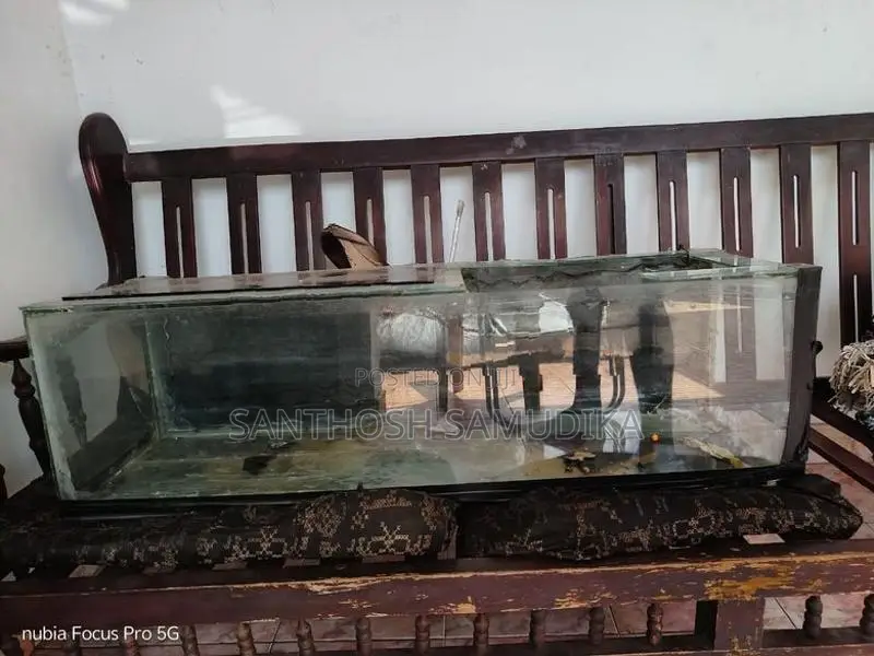 2 Fish Tanks