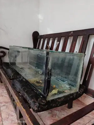 2 Fish Tanks