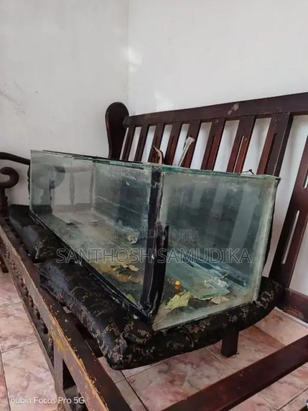 2 Fish Tanks