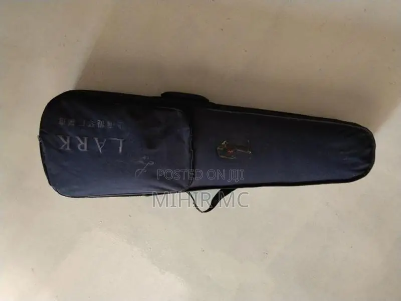 Violin