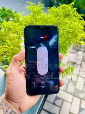 Apple iPhone 11 Pro Max 256GB (Used)