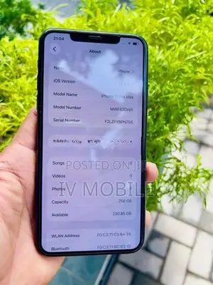 Apple iPhone 11 Pro Max 256GB (Used)