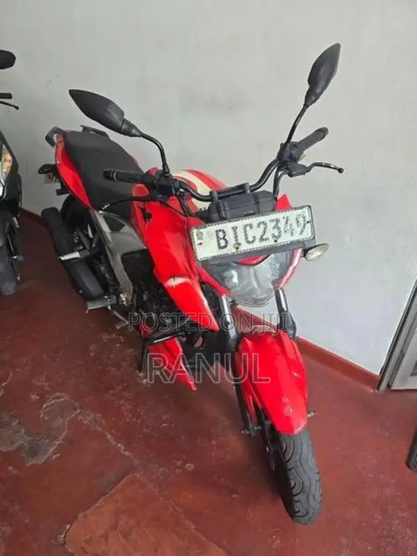 TVS Apache RTR 160 2019