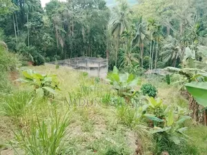 Land for sale in Embilipitiya