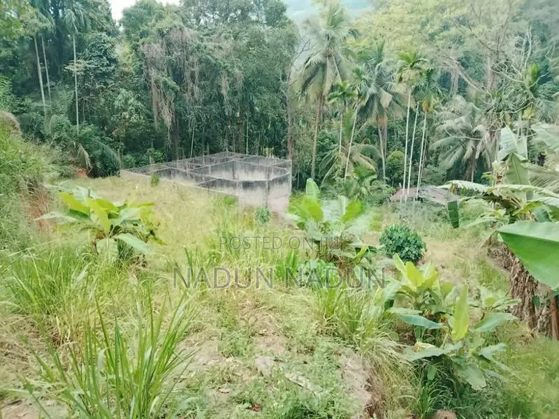 Land for sale in Embilipitiya