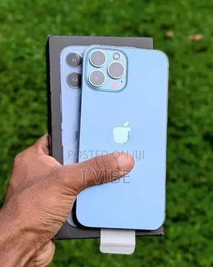 Apple iPhone 13 Pro Max 256GB (Used)