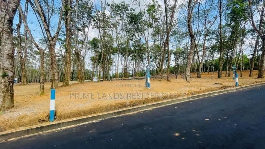 Land for sale in Homagama Thalagala