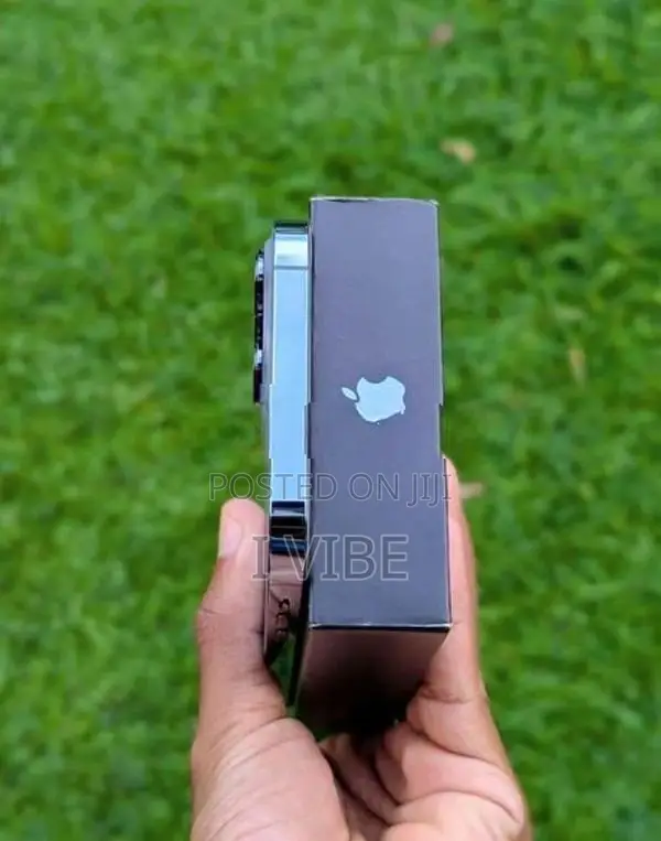 Apple iPhone 13 Pro Max 256GB (Used)