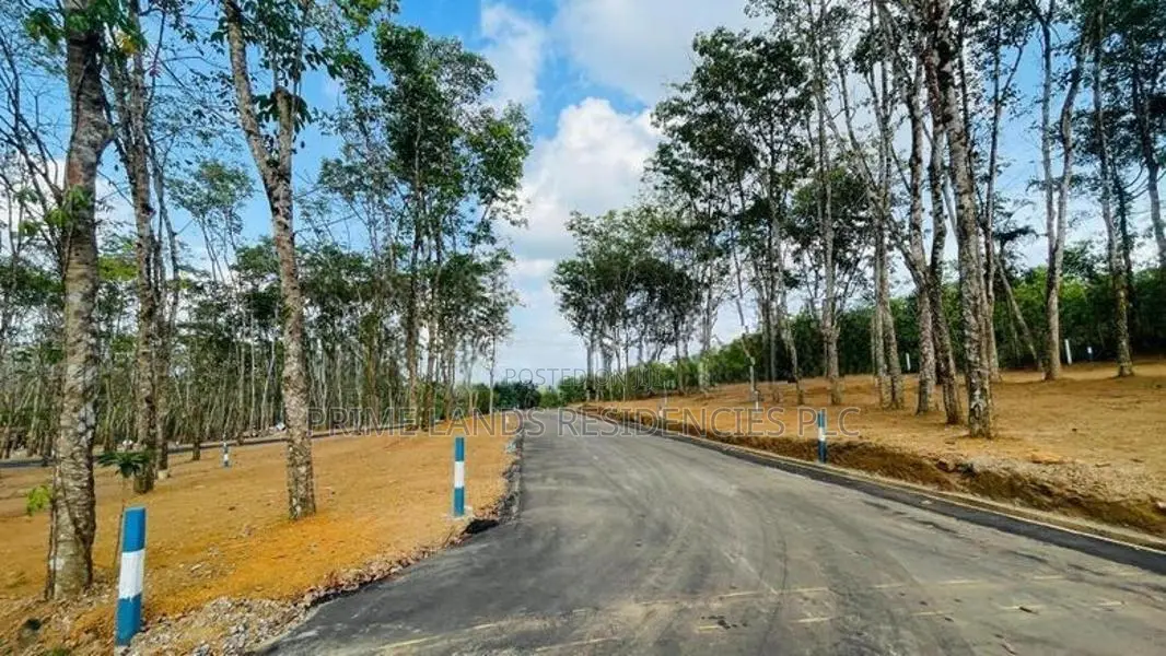 Land for sale in Homagama Thalagala