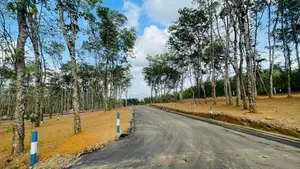 Land for sale in Homagama Thalagala