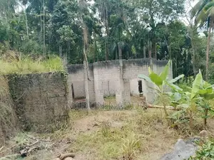 Land for sale in Embilipitiya