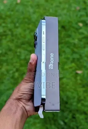 Apple iPhone 13 Pro Max 256GB (Used)