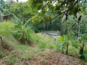 Land for sale in Embilipitiya