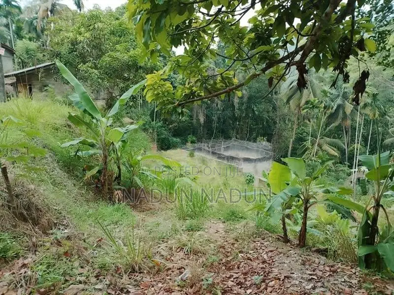 Land for sale in Embilipitiya
