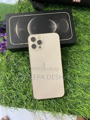 Apple iPhone 12 Pro (Used)