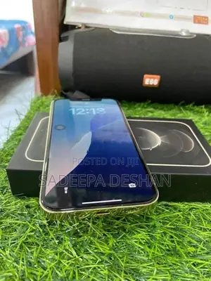 Apple iPhone 12 Pro (Used)