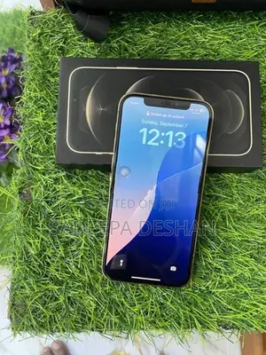 Apple iPhone 12 Pro (Used)