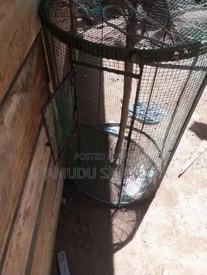 කුරුලු කුඩුවක්