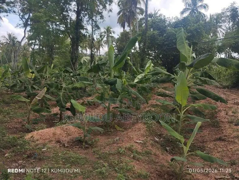 Land for Sale in Kurunegala