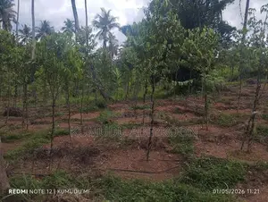 Land for Sale in Kurunegala