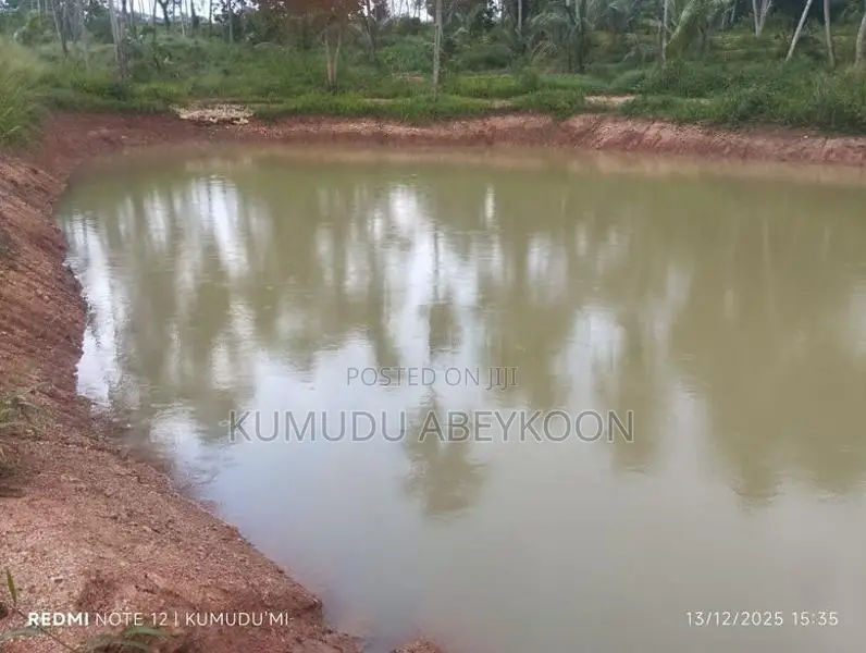 Land for Sale in Kurunegala